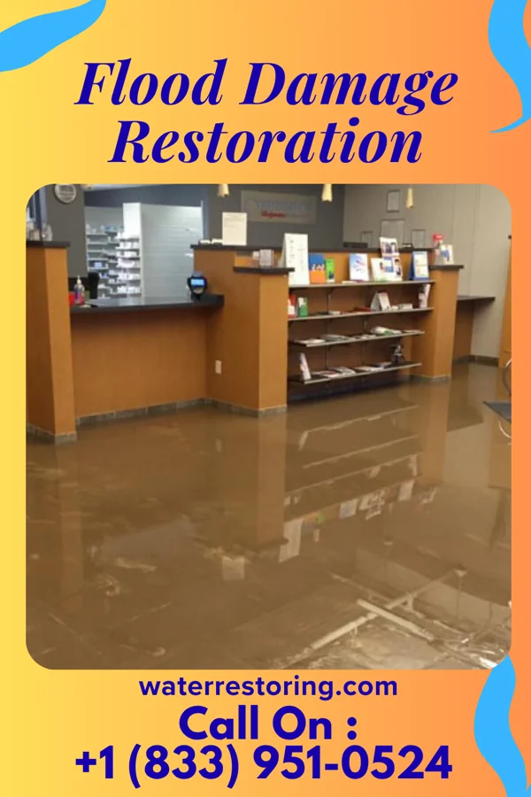 Flood Damage Restoration in Glasford, IL